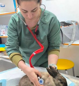 Wizyta terapeutyczna