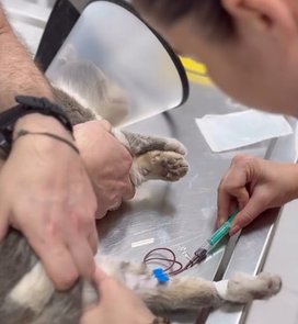 Ogólne (hematologiczne) badanie krwi