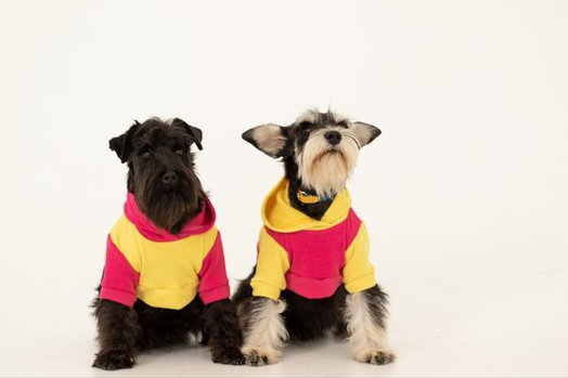 Светр для кота чи собаки