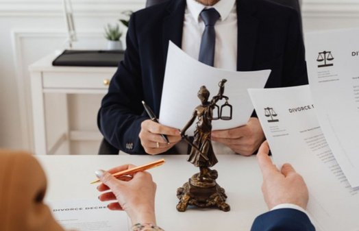 Support During Inspections by Regulatory Authorities