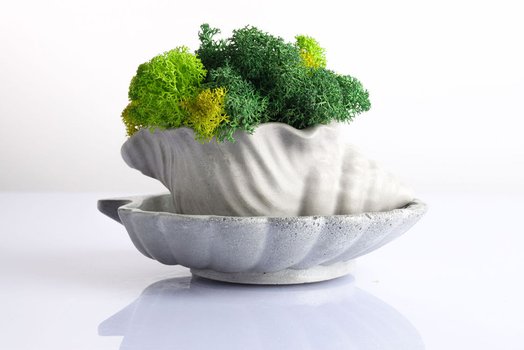 Kompozycje wnętrzarskie z roślin stabilizowanych