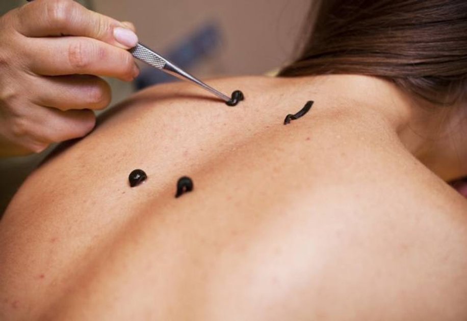 «Імперія Краси»