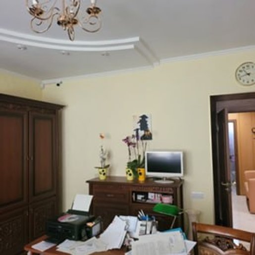 DEMENKOVA I PARTNERY