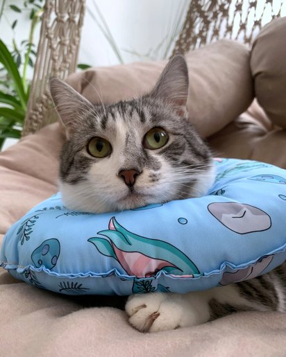 Miękki ochronny kołnierz weterynaryjny–poduszka Bubliki