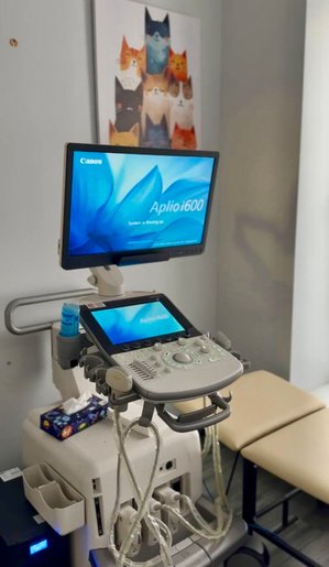 «Доказова медична практика»