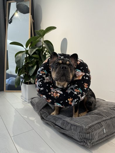 Miękki ochronny kołnierz weterynaryjny–poduszka Bubliki