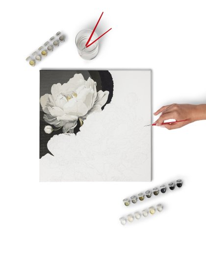 Fotografia katalogowa