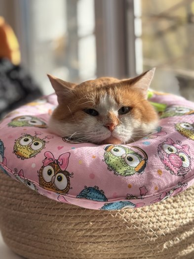 Miękki ochronny kołnierz weterynaryjny–poduszka Bubliki